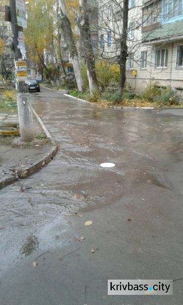 В Кривом Роге по Заречному бежит река из питьевой воды (ФОТОФАКТ)