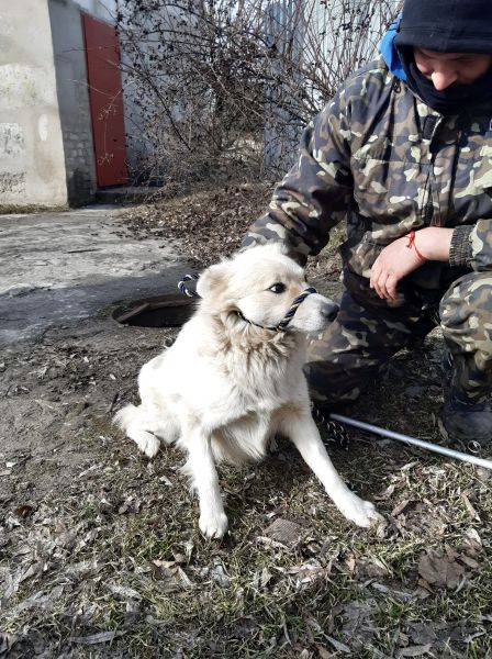 Фото з мережі Фейсбук