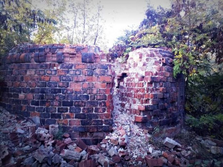 Пропал криворожанин: группа поисковиков разыскивает пропавшего с собаками (ФОТО)