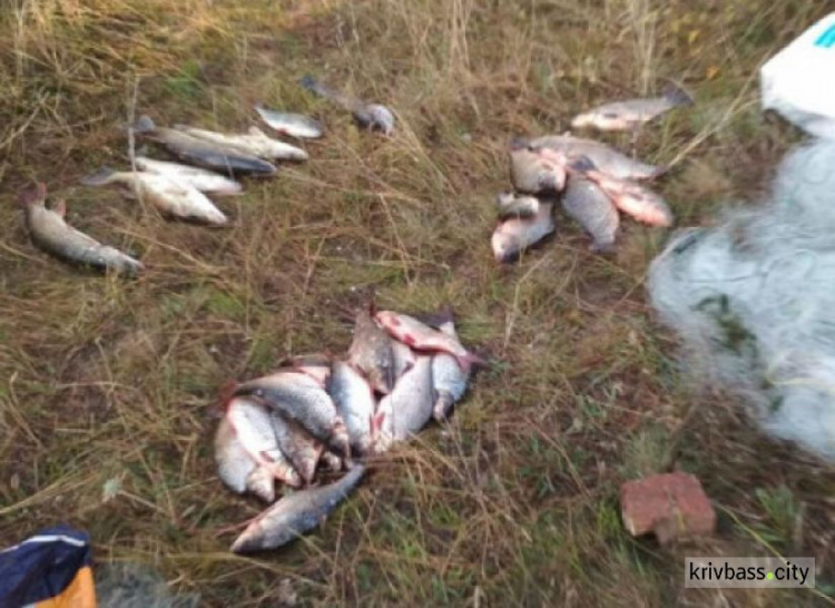 Браконьеров из Кривого Рога поймали в Николаевской области (ФОТО)