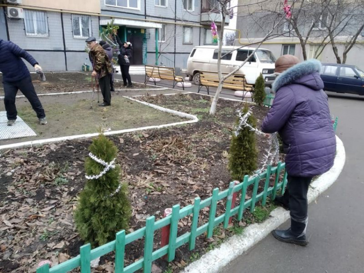 Воруют сами у себя: высаженные во дворе многоэтажки детьми туи выкопали неизвестные