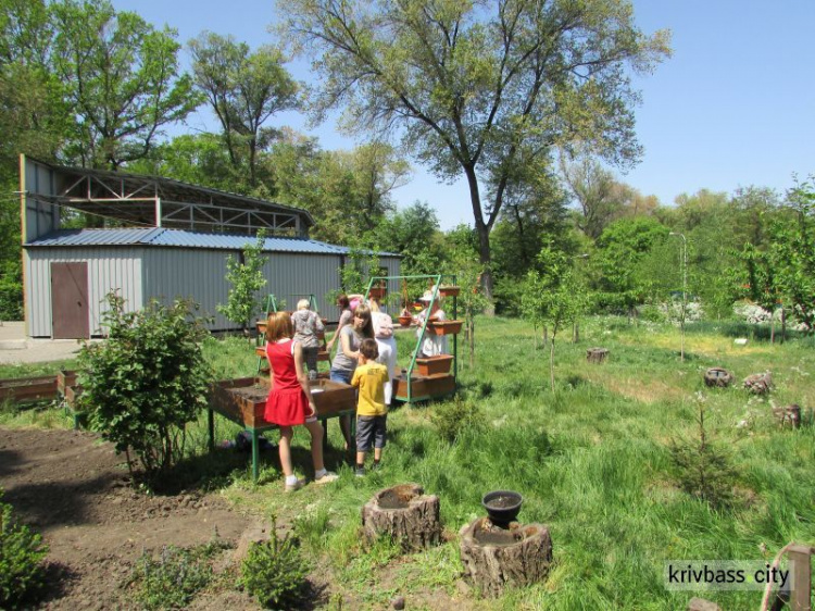 В городском парке Кривого Рога появился огород для всех