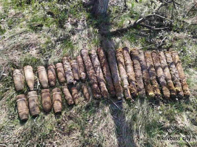 В Криворожском районе нашли и уничтожили 28 боеприпасов