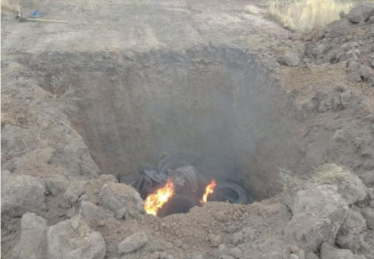 На Днепропетровщине в одном из районов пытались скрыть вспышку африканской чумы среди поголовья