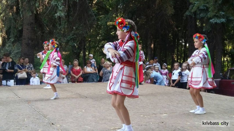 Изделия народных умельцев, фотозоны и концерт: в Покровском районе жители Кривого Рога отметили День независимости (ФОТОРЕПОРТАЖ)