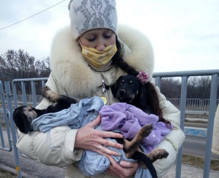 Фото пресслужби ДСНС Кривого Рогу