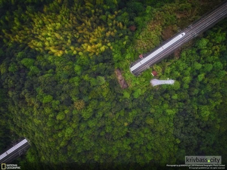 National Geographic назвал лучшее фото года