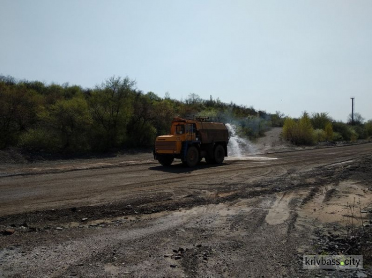 Камыш против пыли: на одном из горных предприятий Кривого Рога успешно применяют "зеленую технологию" (фото)