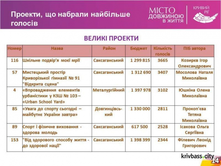 Мечта сбылась: в криворожской школе открыли Urban School Yard стоимостью почти 1,5 млн грн (ФОТО)