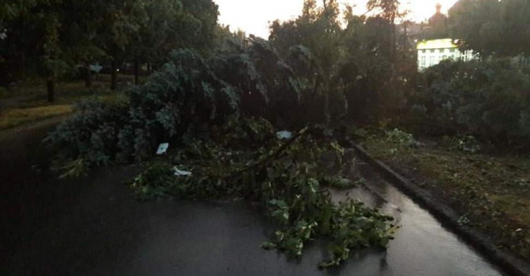 В Кривом Роге из-за непогоды назначили экстренное совещание (фото)