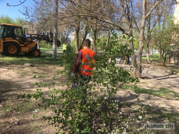 Апрельский субботник: 40 тысяч криворожан благоустроили 450 га города (ФОТО)