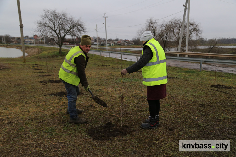 Для краси і користі: на Інгулецькому комбінаті Метінвесту провели озеленення санітарно-захисної зони