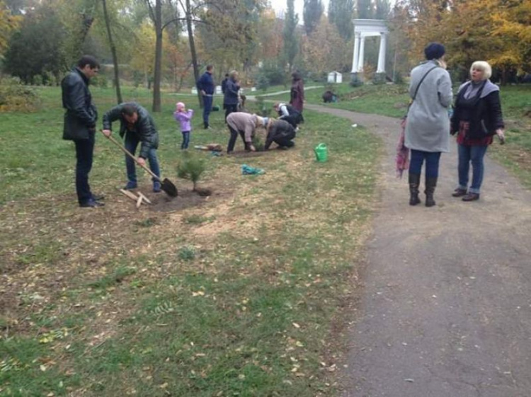 В Кривом Роге появилась сосновая аллея: в одном из парков города началась традиционная высадка деревьев (ФОТО)