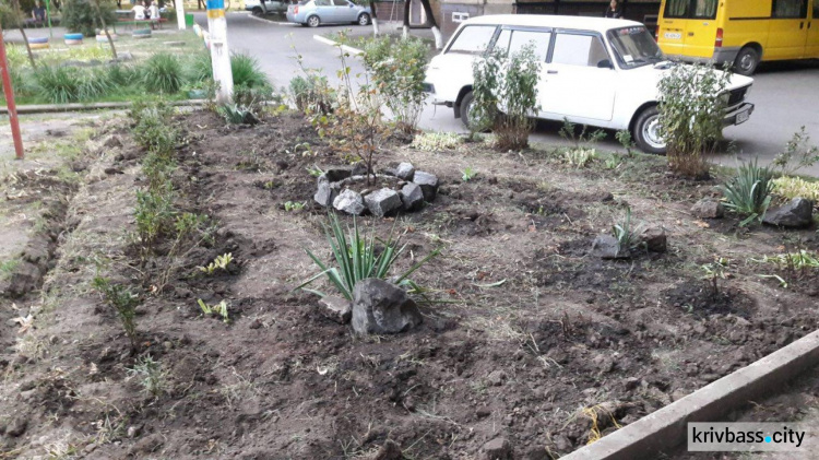 Жители улицы Водопьянова в Кривом Роге облагородили цветник (ФОТОФАКТ)