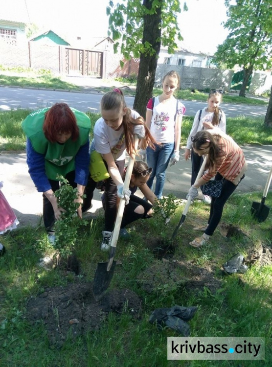 В Кривом Роге у дома творчества "Терноцвит" появились новые "зеленые" соседи (ФОТОРЕПОРТАЖ)