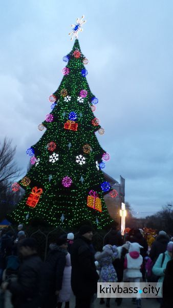 Криворожская лесная красавица: в городе прошло торжественное открытие городской ёлки (ФОТОРЕПОРТАЖ)