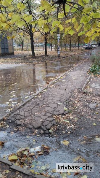 Жителям Покровского района Кривого Рога следует запастись водой (ФОТО)