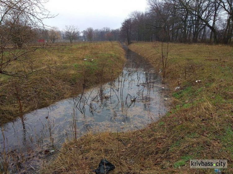 В Криворожском районе подтоплено несколько сел (ФОТО)