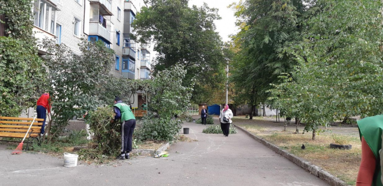 Красота своими руками: в Кривом Роге жители разбили цветник у себя во дворе