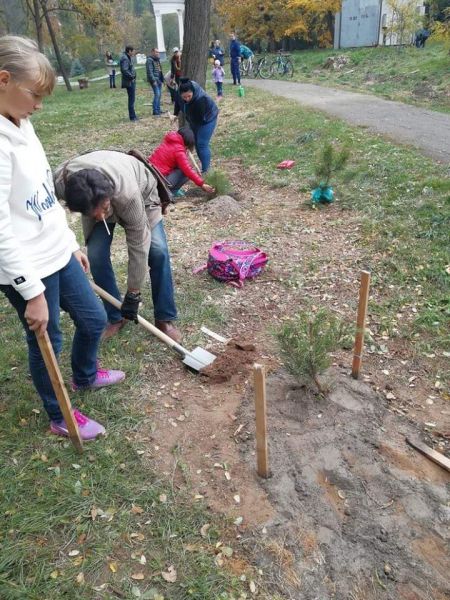 В Кривом Роге появилась сосновая аллея: в одном из парков города началась традиционная высадка деревьев (ФОТО)