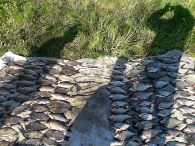 Фото Держрибагентство у Дніпропетровській області