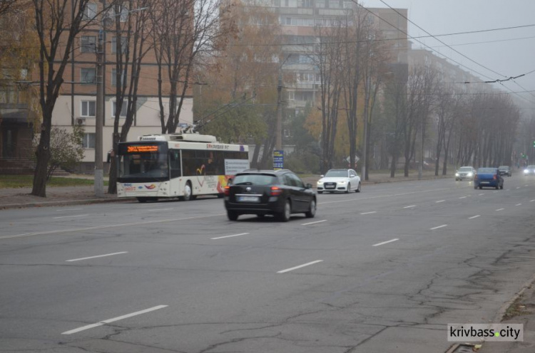 Безкоштовний проїзд - це просто популізм: криворіжець зареєстрував петицію