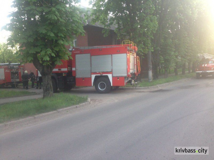 В Кривом Роге спасли пожилую женщину при пожаре