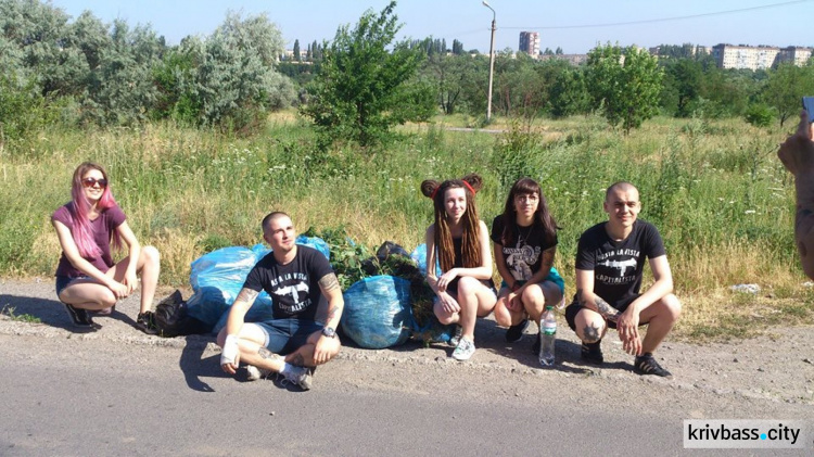 В Кривом Роге перешли от слов к делу: на Солнечном и Юбилейном вырывали амброзию (ФОТО)