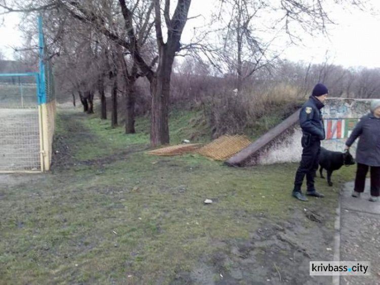 В Кривом Роге бдительными гражданами остановлено хищение ограждения (ФОТО)