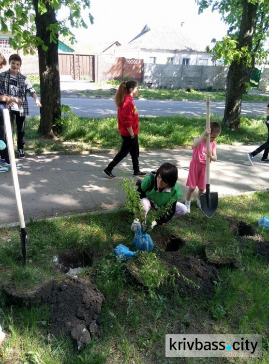 В Кривом Роге у дома творчества "Терноцвит" появились новые "зеленые" соседи (ФОТОРЕПОРТАЖ)