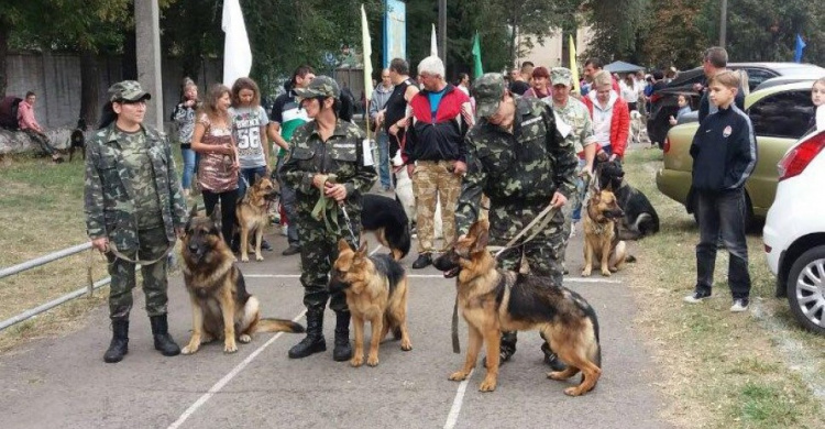 В Кривом Роге на выставке собак участвует более 100 хвостатых (ФОТО)