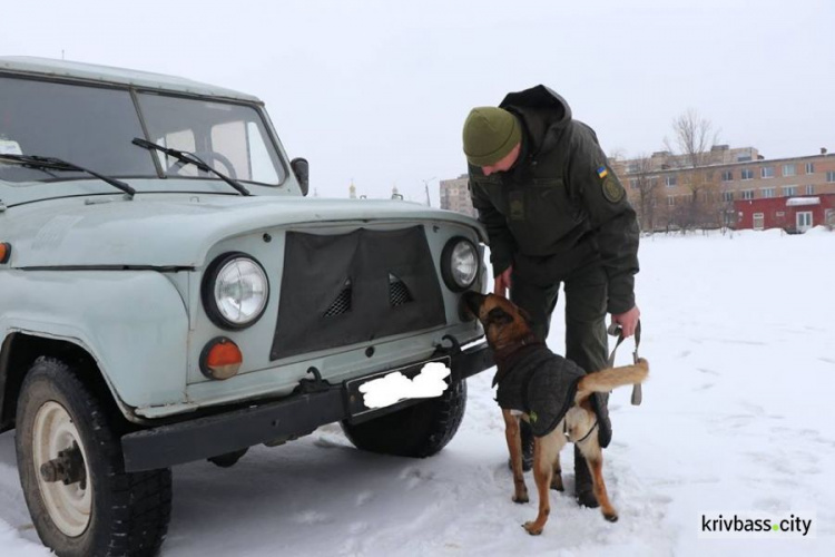 Нацгвардейцы Кривого Рога проверили умения и навыки своих поисковых собак (фото)