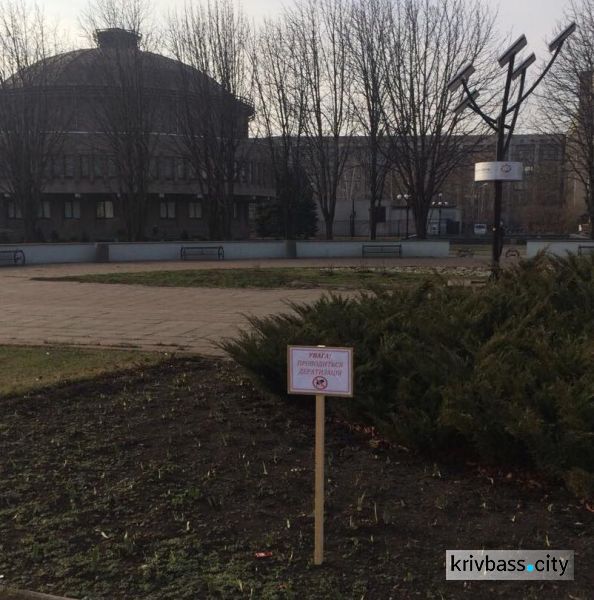 Крысам в городе не место: в Кривом Роге начинается травля грызунов