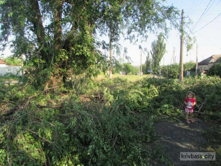 Кривой Рог приходит в себя после бури (фото)