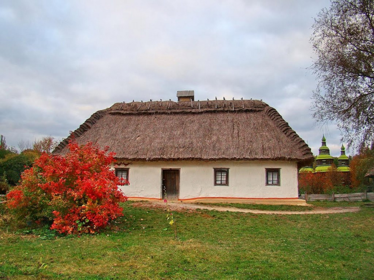 Фото з відкритих джерел