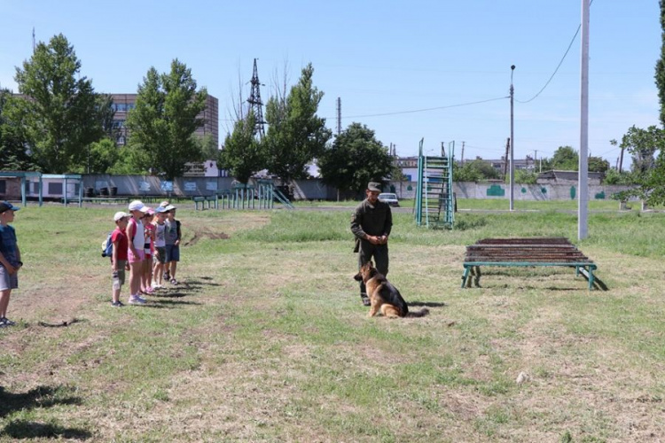 В воинской части Кривого Рога состоялся День открытых дверей (фото)