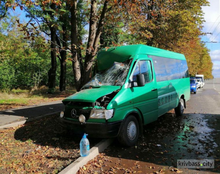 В аварии с маршруткой в Кривом Роге пострадали 11 человек (ФОТО)