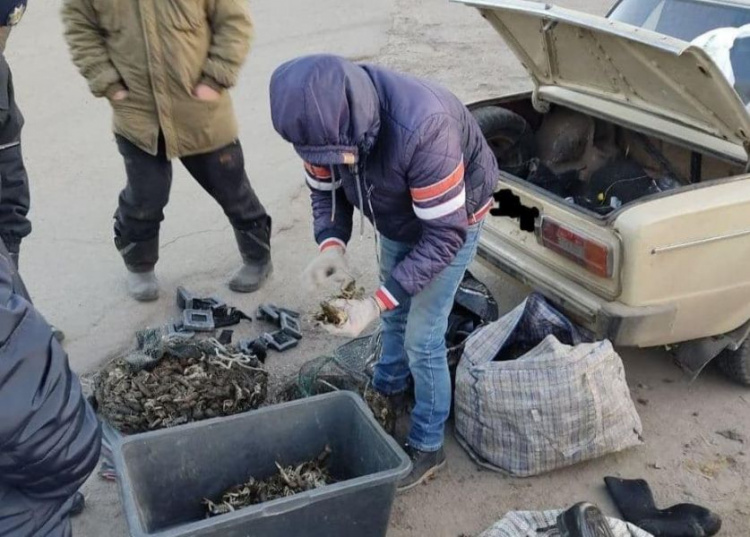 Фото Госрыбагенства в Днепропетровской области