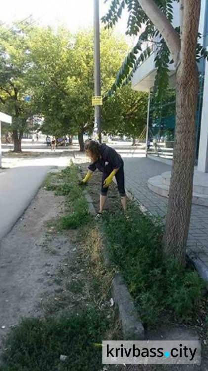 Инспекция по благоустройству Кривого Рога начала штрафовать нарушителей(ФОТО)