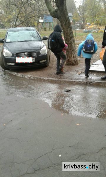 В Кривом Роге по Заречному бежит река из питьевой воды (ФОТОФАКТ)