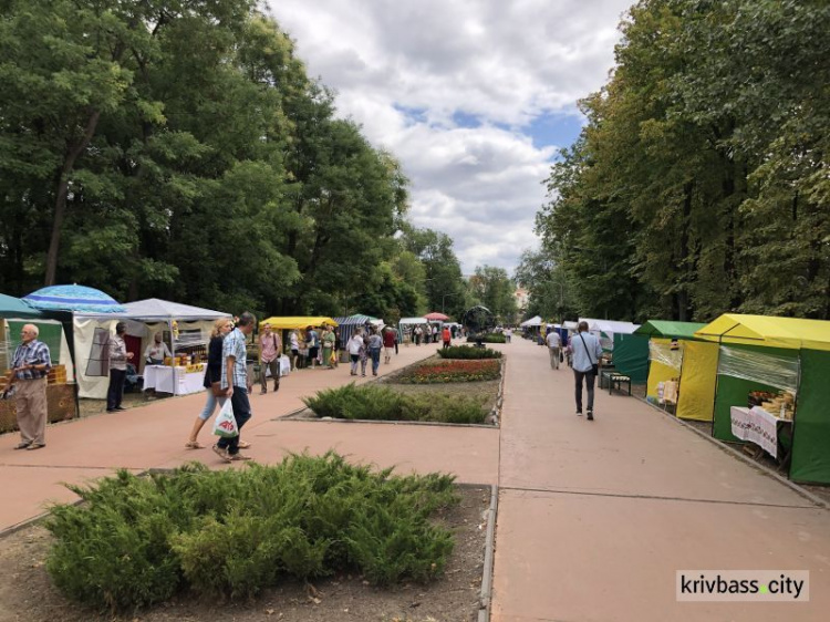 В парке имени Гагарина стартовала 10-я медовая ярмарка