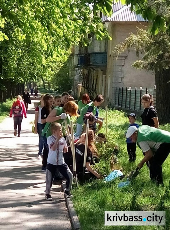 В Кривом Роге высажено 403 дерева, 120 кустов и вывезено 1200 кубометров мусора (ФОТО)