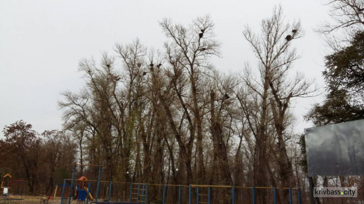 Каменные дорожки, фонари, лавочки: набережная в Покровском районе продолжает радовать криворожан (фоторепортаж)