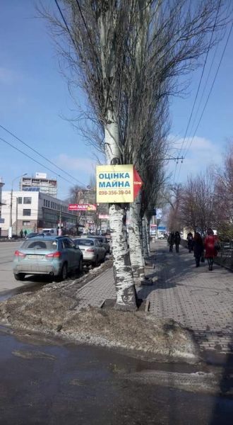 В Кривом Роге инспекция по благоустройству города продолжает наводить порядки (ФОТО)