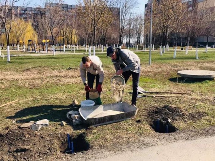 Новые скамейки, молоденькие деревца: в самом активном районе Кривого Рога продолжается благоустройство (фото)