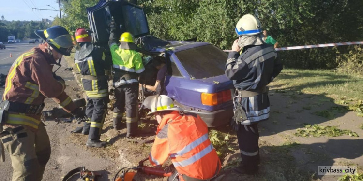 На Пионере иномарка влетела в дерево: водитель погиб на месте ДТП