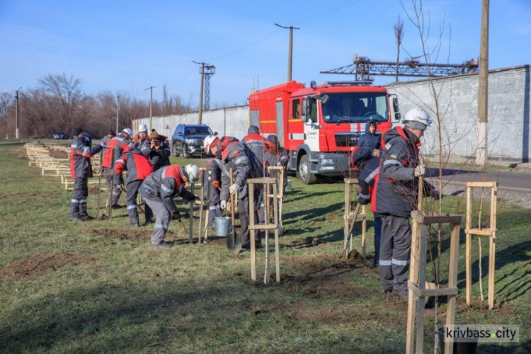 На Центральном ГОКе Метинвеста продолжают работы по обустройству и озеленению промплощадки