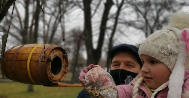 У парку Мершавцева з’явились нові домівки для пташок